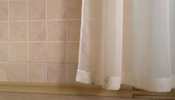 Best Attic Mold Removal  in Garner, NC