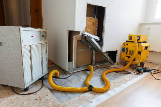 Best Post-Construction Mold Inspection  in Garner, NC