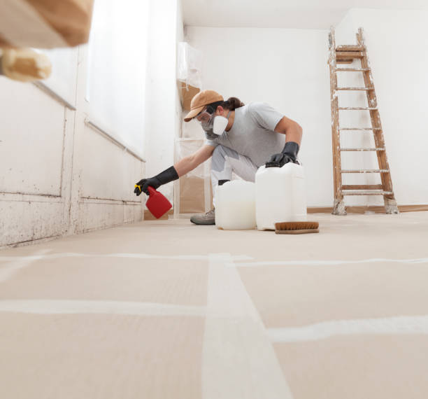 Best Airborne Mold Testing  in Garner, NC